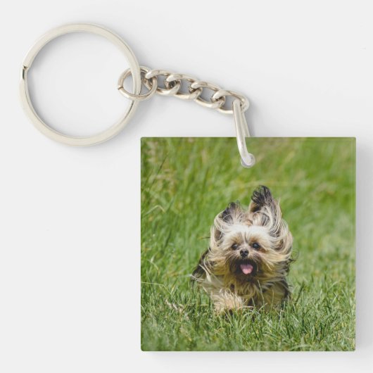 Cute Yorkshire Terrier die door Grass loopt Sleutelhanger (Voorkant)