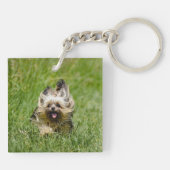 Cute Yorkshire Terrier die door Grass loopt Sleutelhanger (Achterkant)