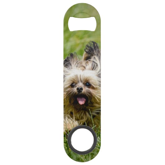 Cute Yorkshire Terrier die door Grass loopt Speed Flessenopener (Voorkant)