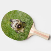 Cute Yorkshire Terrier die door Grass loopt Tafeltennisbatje (Zijkant)