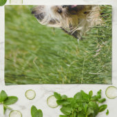 Cute Yorkshire Terrier die door Grass loopt Theedoek (Gevouwen)