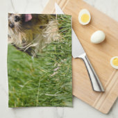 Cute Yorkshire Terrier die door Grass loopt Theedoek (Quarter Fold)