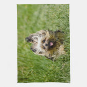 Cute Yorkshire Terrier die door Grass loopt Theedoek (Verticaal)