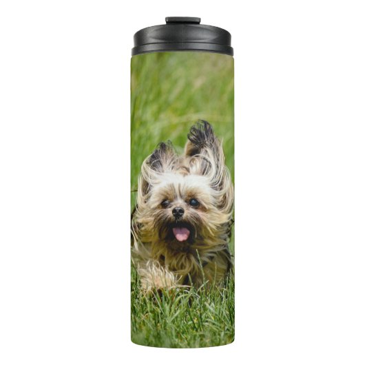 Cute Yorkshire Terrier die door Grass loopt Thermosbeker (Voorkant)
