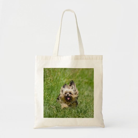 Cute Yorkshire Terrier die door Grass loopt Tote Bag (Voorkant)