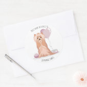 Cute Yorkshire Terrier Dit boek behoort tot Ronde Sticker (Envelop)