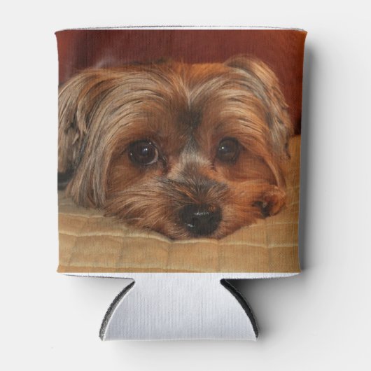 Cute Yorkshire Terrier Dog Blikjeskoeler (Voorkant)