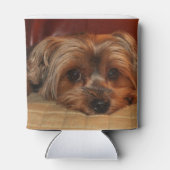 Cute Yorkshire Terrier Dog Blikjeskoeler (Achterkant)