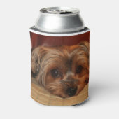 Cute Yorkshire Terrier Dog Blikjeskoeler (Blikje Achterkant)