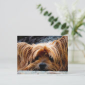 Cute Yorkshire Terrier Dog Briefkaart (Staand voorkant)