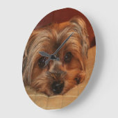 Cute Yorkshire Terrier Dog Grote Klok (Hoek)