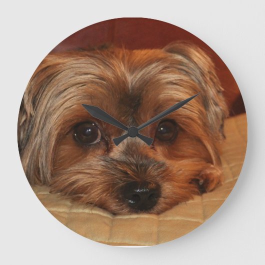 Cute Yorkshire Terrier Dog Grote Klok (Voorkant)