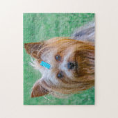 Cute Yorkshire Terrier Dog Head Legpuzzel (Verticaal)