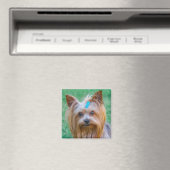 Cute Yorkshire Terrier Dog Head Magnet (Insitu (Vaatwasser))