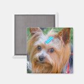 Cute Yorkshire Terrier Dog Head Magnet (Voorkant / Achterkant)