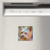 Cute Yorkshire Terrier Dog Head Magnet (Insitu (Vaatwasser))
