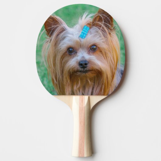 Cute Yorkshire Terrier Dog Head Tafeltennisbatje (Voorkant)