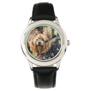Cute Yorkshire Terrier Dog in de tuin Horloge