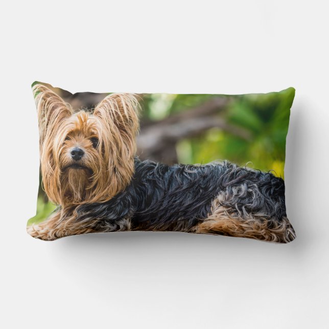 Cute Yorkshire Terrier Dog in de tuin Kussen (Voorkant)