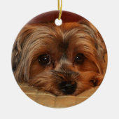 Cute Yorkshire Terrier Dog Keramisch Ornament (Voorkant)