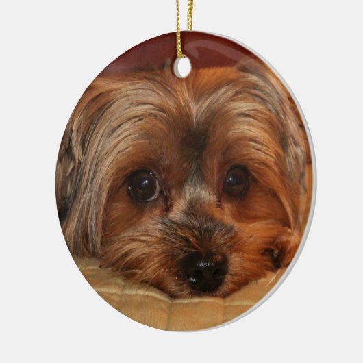 Cute Yorkshire Terrier Dog Keramisch Ornament (Links)