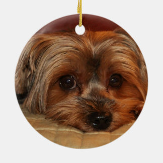 Cute Yorkshire Terrier Dog Keramisch Ornament