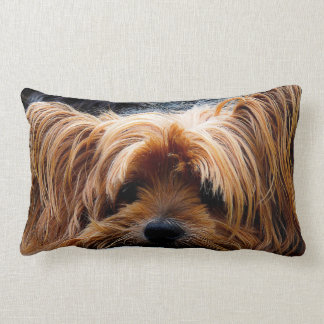 Cute Yorkshire Terrier Dog Kussen