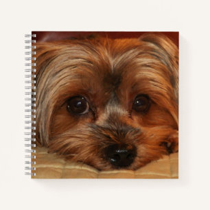 Cute Yorkshire Terrier Dog Notitieboek