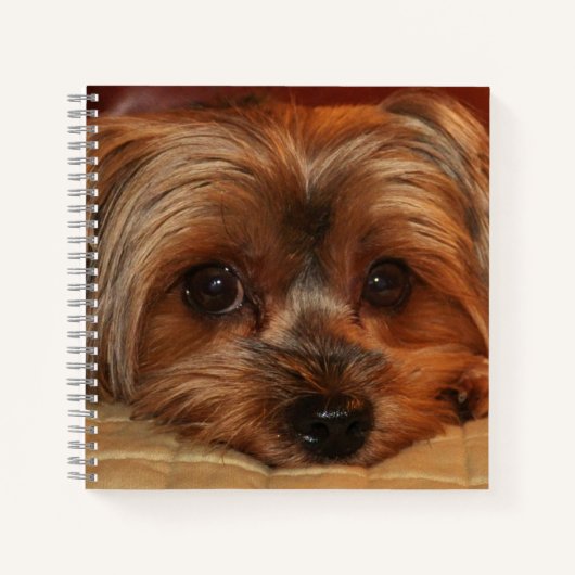 Cute Yorkshire Terrier Dog Notitieboek (Voorkant)