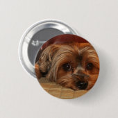 Cute Yorkshire Terrier Dog Ronde Button 5,7 Cm (Voorkant /achterkant)