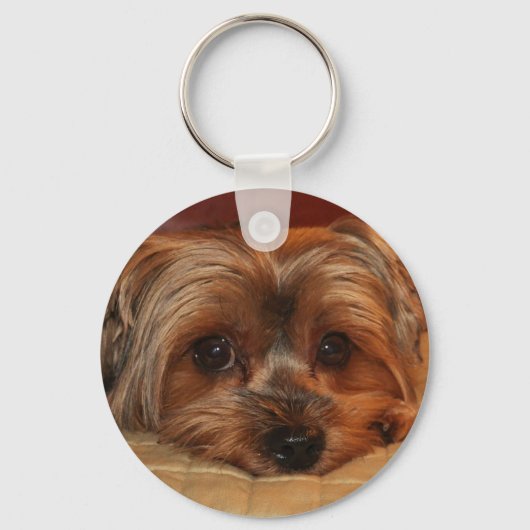 Cute Yorkshire Terrier Dog Sleutelhanger (Voorkant)