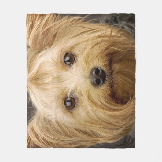 Cute Yorkshire Terrier Fleece Deken (Voorkant)