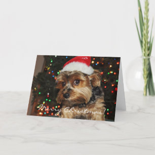 Cute Yorkshire Terrier-kerstkaart Feestdagen Kaart