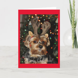 Cute Yorkshire Terrier met Reindeer Antlers Feestdagen Kaart