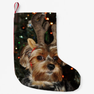 Cute Yorkshire Terrier met Reindeer Antlers Kleine Kerstsok