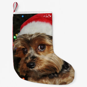 Cute Yorkshire Terrier met Santa Hat Kleine Kerstsok