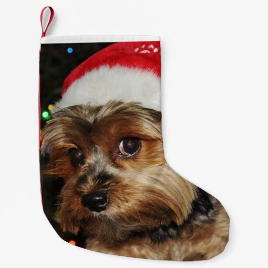 Cute Yorkshire Terrier met Santa Hat Kleine Kerstsok (Voorkant)