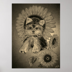 Cute Yorkshire Terrier met zonnebloemen Poster