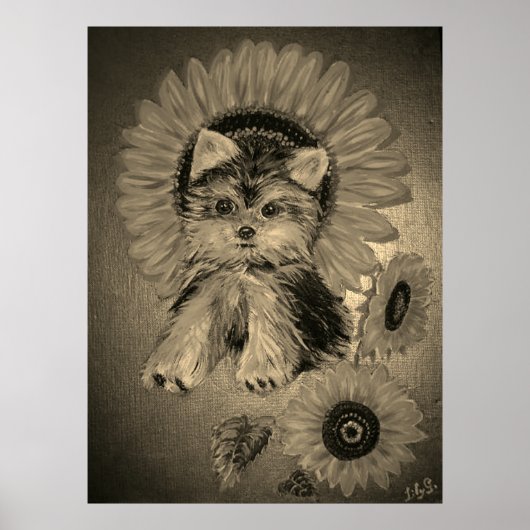 Cute Yorkshire Terrier met zonnebloemen Poster (Voorkant)