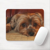 Cute Yorkshire Terrier Mousepad Muismat (Met muis)