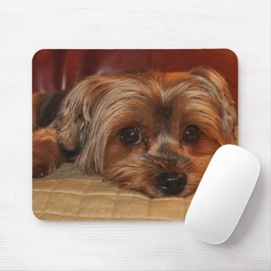 Cute Yorkshire Terrier Mousepad Muismat (Met muis)