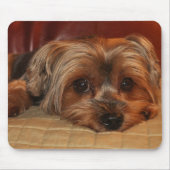Cute Yorkshire Terrier Mousepad Muismat (Voorkant)