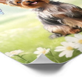 Cute Yorkshire Terrier Poster (Hoek)