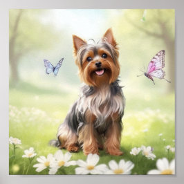 Cute Yorkshire Terrier Poster