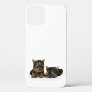Cute Yorkshire Terrier puppies iPhone 12 Hoesje