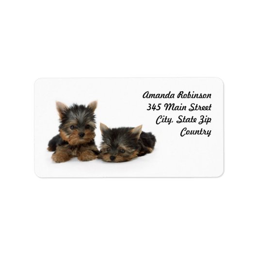 Cute Yorkshire Terrier puppies Etiket (Voorkant)