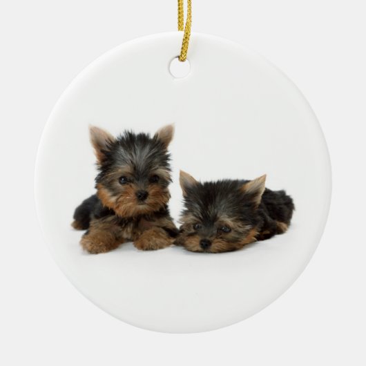 Cute Yorkshire Terrier puppies Keramisch Ornament (Voorkant)