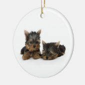 Cute Yorkshire Terrier puppies Keramisch Ornament (Links)