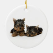 Cute Yorkshire Terrier puppies Keramisch Ornament (Achterkant)