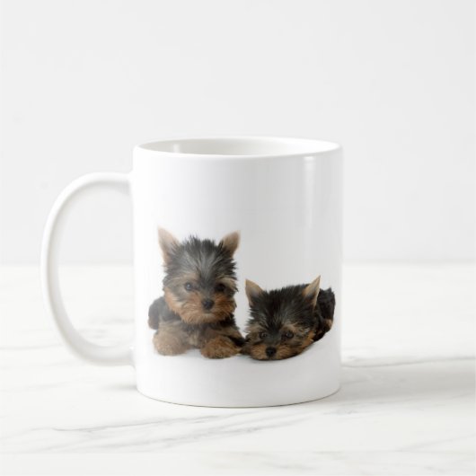 Cute Yorkshire Terrier puppies Koffiemok (Links)